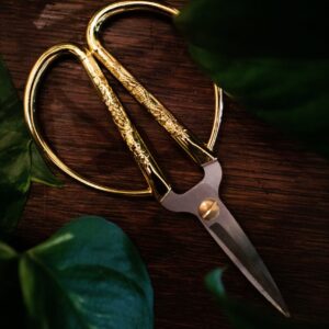 ripley-elisabeth-brown-WCK4rtBznL8-unsplash